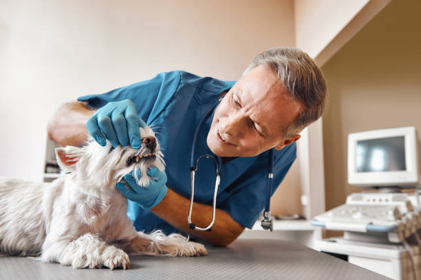 Best Emergency Tooth Extraction in Baywood Park, CA